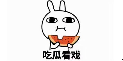 带你吃瓜讲卡农,卡农背后的故事与魅力