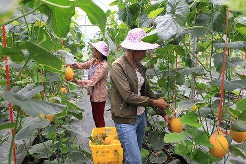 吃瓜网红太古里,太古里网红吃瓜风云录