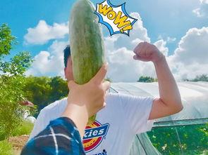 吃瓜网红太古里,太古里网红吃瓜风云录