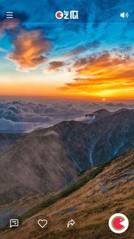 吃瓜实拍,吃瓜群众实拍，揭秘娱乐圈幕后真相