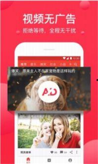 维维带薪吃瓜视频,揭秘网红新潮流