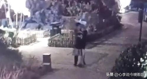 斗殴吃瓜视频,一场网络围观下的肢体冲突