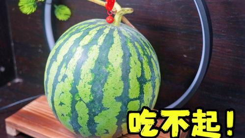 给我瓜吃,揭秘“给我瓜吃”背后的美食传奇