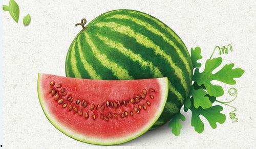 吃瓜技巧完结文,揭秘吃瓜技巧完结篇