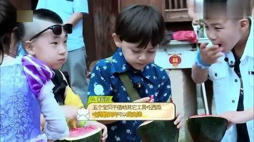 轩轩吃瓜,揭秘娱乐圈幕后故事