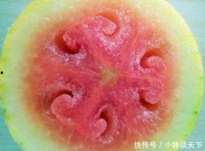 颜店吃瓜,揭秘娱乐圈幕后故事