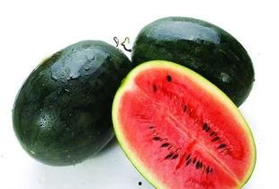 doctorx吃瓜,揭秘娱乐圈的瓜田秘闻