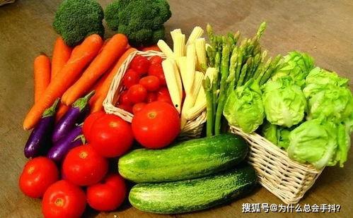 天天吃瓜曹县,天天吃瓜，乐享田园生活