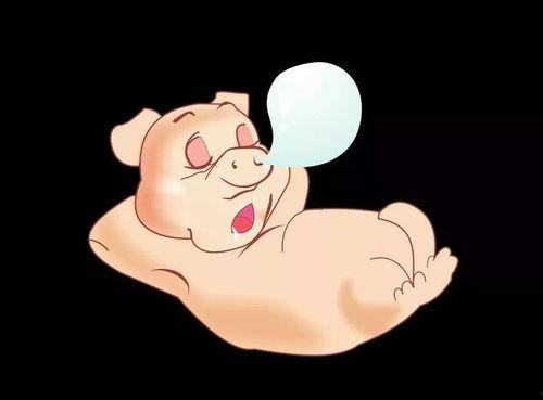 吃瓜猪卡包,趣味无限，欢乐集结