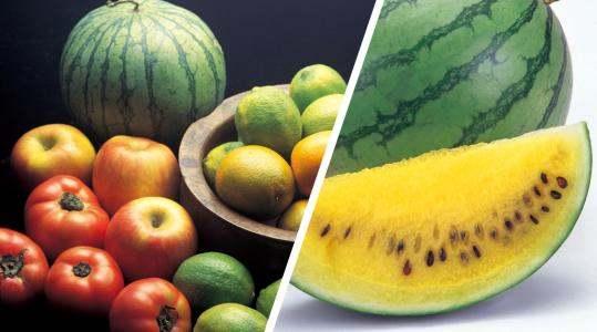 吃心的瓜关键词,吃心的瓜，真相大揭秘