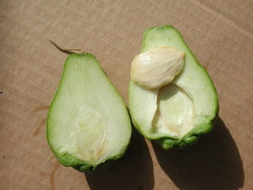 合掌瓜要去皮吃,解锁健康饮食新选择