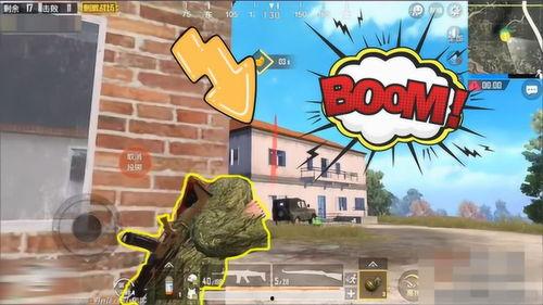 吃鸡呆瓜,揭秘游戏中的搞笑瞬间与欢乐时光