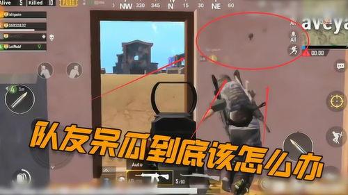 吃鸡呆瓜,揭秘游戏中的搞笑瞬间与欢乐时光