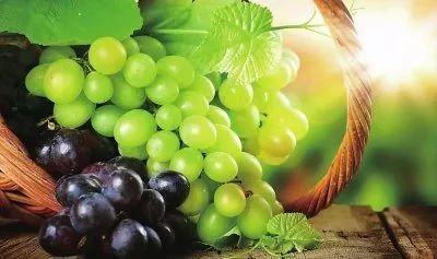 云南曲靖吃瓜,探寻云南曲靖的美食风情