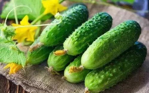 曾经吃瓜vs现在吃瓜,网络舆论的演变与反思