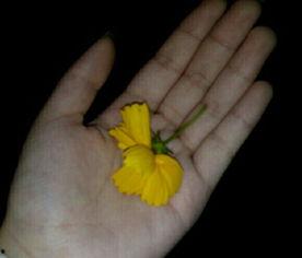 吃瓜群众吃瓜合集视频,盘点热门合集视频