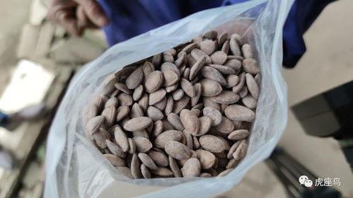 吃瓜怎么挣钱的,揭秘网络时代的新型盈利模式