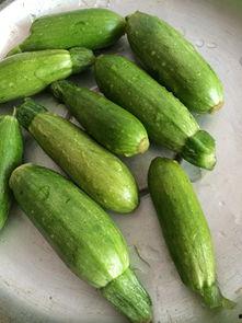 小角瓜可以呛着吃吗,挑战味蕾的新尝试