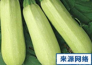 孕妇可以吃白瓜吗,白瓜的营养益处与食用建议