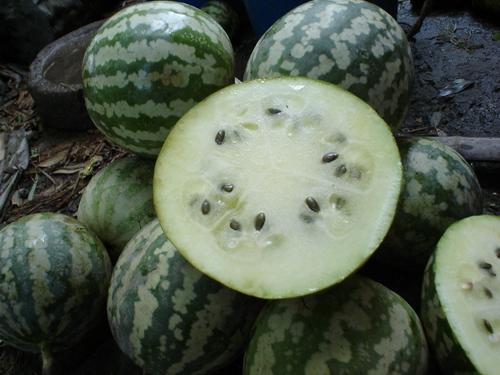 吃绿宝瓜好吗,健康美味，养生佳选