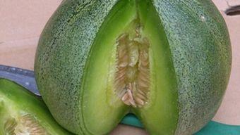 吃绿宝瓜好吗,健康美味，养生佳选