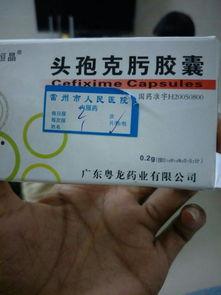 吃头孢能吃贝贝瓜吗,安全搭配指南