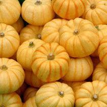 绿桔瓜怎么吃,探索美味与营养的完美融合