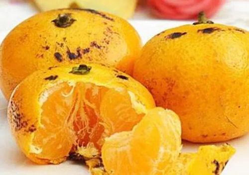 绿桔瓜怎么吃,探索美味与营养的完美融合