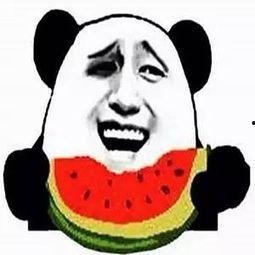 吃瓜会长大吗,揭秘吃瓜真的能长大之谜