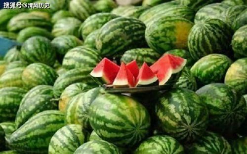 带你吃瓜解说奇葩食物,带你领略那些令人瞠目结舌的奇葩美食