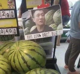 沧州学院吃瓜视频在线,揭秘校园生活趣味瞬间