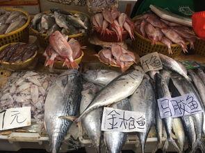 鱼吃完可以吃网纹瓜吗,探索鱼食后的美味新选择