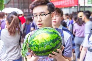 红领巾今日吃瓜吃大瓜