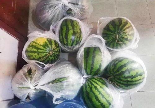 瓜仔鱲怎么吃,瓜仔鱲的多样美味烹饪法