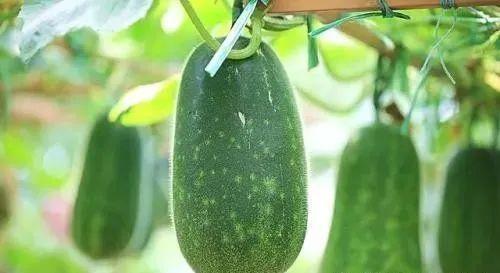 吃瓜吃的洗眼睛,揭秘娱乐圈幕后真相