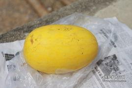 腌黄皮瓜怎么吃,创意食用指南