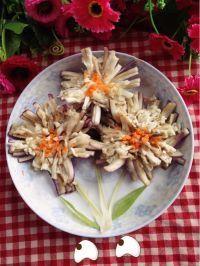 菊花吃瓜,揭秘网络热词背后的趣味与思考