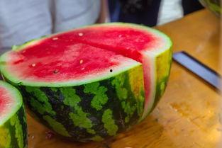 菊花吃瓜,揭秘网络热词背后的趣味与思考