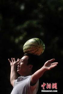 广西吃瓜群众名称,见证地方风土人情，品味生活百态