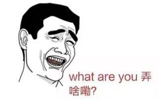 做梦工人要瓜吃,工人瓜果之梦的启示与解读