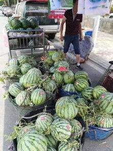 琼海网红吃瓜事件,揭秘网络舆论的风暴与真相