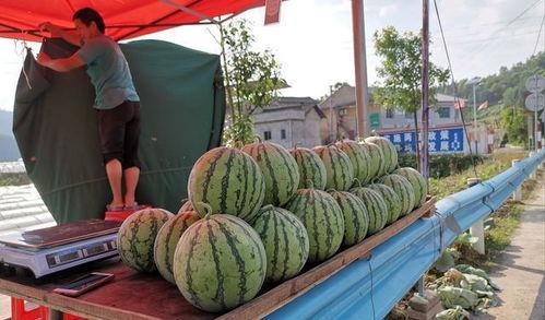 琼海网红吃瓜事件,揭秘网络舆论的风暴与真相