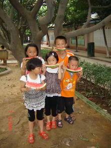 吃瓜观众在哪,揭秘“吃瓜群众”背后的网络现象