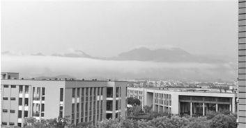 杭州技师学院吃瓜,揭秘校园里的“瓜田”风云